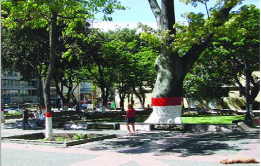 Plaza Alí Primera, antigua Padre Sojo