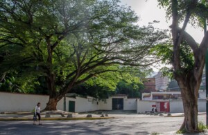 Fotografía Luis Chacín, julio 2016.