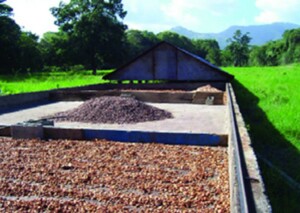 corredera-de-cacao-y-coco