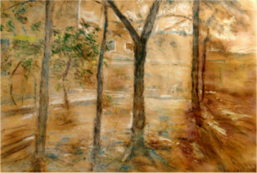 paisaje_patio_del_sanatorio_san_jorge_1953