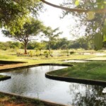 Seminario Emprender en patrimonio cultural: Jardín Botánico de Maracaibo.