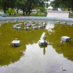 Fuente abandonada del parque Los Mangos, en la ciudad de Barinas, capital del estado Barinas, Venezuela.