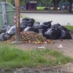 Basura acumulada en el parque Los Mangos, bien cultural de la ciudad de Barinas, Venezuela.