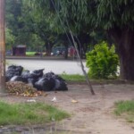 Basura acumulada en el parque Los Mangos, de la ciudad de Barinas. Venezuela.