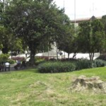 Jardín de la plaza Bolívar de Mérida, patrimonio histórico nacional de Venezuela.