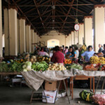 Mercado de Capacho, un bullente punto de comercio de productos locales. Trujillo, Venezuela