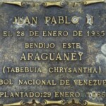 Placa alusiva al araguaney bendecido por el papa Juan Pablo II en la plaza Bolívar de Mérida, patrimonio histórico nacional de Venezuela.