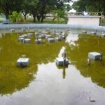 Fuente sin mantenimiento en el parque Los Mangos de la ciudad de Barinas. Patrimonio cultural del estado Barinas, Venezuela.