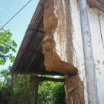 Así quedó la pared de la casa Tapiera en pleno centro histórico de barina, 2010. Venezuela.