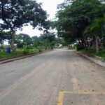 Avenida central del cementerio parque jardín Nuestra Señora del Rosario, Barinas. Venezuela.