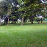 Áreas verdes del cementerio Parque Jardín Nuestra Señora del Rosario, Barinas, Venezuela.