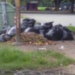 Basura en el parque Los Mangos, bien cultural de la ciudad de Barinas. Estado Barinas, Venezuela.