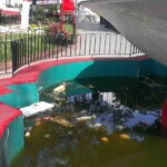 Agua de lluvia estancada en la fuente de la plaza Bolívar de Valera. Foto Ailyn Araujo, julio 2017.