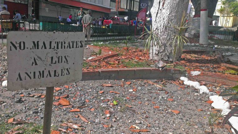 Solo un cartel queda de la variada fauna de la plaza Bolívar de Valera. Activo patrimonial en riesgo. Venezuela.