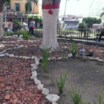 Ladrillos picados y piedras blancas sustituyeron la jardinería en la plaza Bolívar de Valera. Activo patrimonial en riesgo. Venezuela.