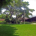 Jardín del Museo Trapiche Los Clavo. Patrimonio cultural de Boconó, estado Trujillo, Venezuela.