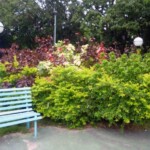 Jardinería en el parque Los Mangos, de la ciudad de Barinas. Bien cultural de Barinas, Venezuela.