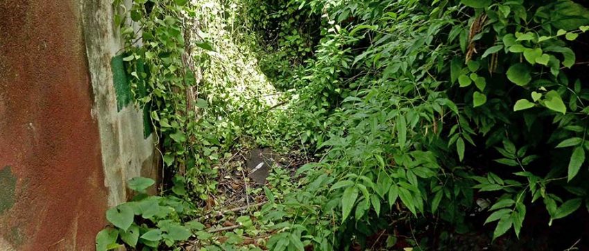 La Casa Agosto Méndez bajo escombros y monte. Autor del himno de Ciudad Bolívar. Patrimonio cultural de Venezuela en riesgo.