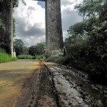 Monumento de La Puerta, en abandono institucional. Patrimonio nacional de Venezuela.