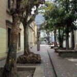 El monumento al Rector heroico Carraciolo Parra y Olmedo, en el paseo César Rengifo. Patrimonio cultural de Mérida, Venezuela.