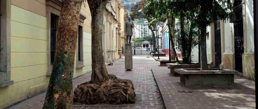 Vista frontal del monumento al Rector Heroico Carraciolo Parra y Olmedo, en el paseo César Rengifo, patrimonio cultural de Mérida, Venezuela.