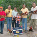 Patrimonio cultural de Venezuela.