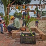 El ancestral baile de las turas, un ritual sincrético para invocar las buenas cosechas. Patrimonio cultural intangible venezolano.