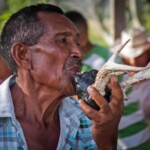 El ancestral baile de las turas, un ritual sincrético para invocar las buenas cosechas. Patrimonio cultural intangible venezolano.