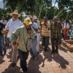 El ancestral baile de las turas, un ritual sincrético para invocar las buenas cosechas. Patrimonio cultural intangible venezolano.