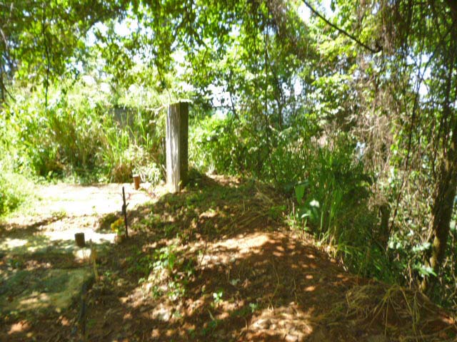 Cementerio municipal de Barinitas. Patrimonio cultural en peligro. Barinas, Venezuela.