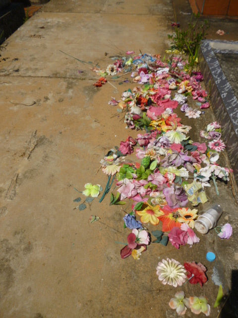 Cementerio municipal de Barinitas. Patrimonio cultural en peligro. Barinas, Venezuela.