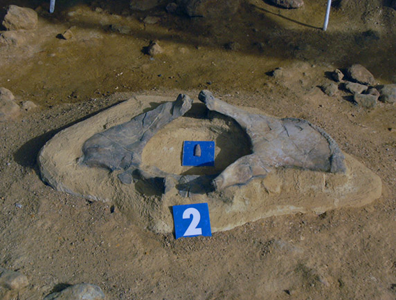 Museo antropológico Taima Taima, patrimonio cultural venezolano en peligro.