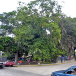 Plaza Bolívar de Boconó, estado Trujillo. Patrimonio cultural de Venezuela.