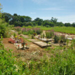 Cementerio municipal de Barinitas. Patrimonio cultural en peligro. Barinas, Venezuela.