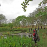 Seminario Emprender en patrimonio cultural: Jardín Botánico de Maracaibo.