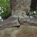 Monumento al doctor Eloy Paredes. Patrimonio cultural amenazado de Mérida, Venezuela.