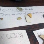 Restos arqueológicos en la UCV Escuela de Antropología