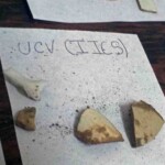 Restos arqueológicos en la UCV Escuela de Antropología