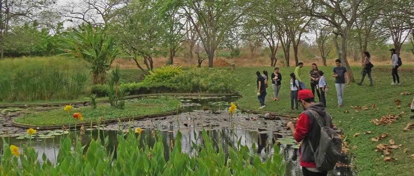 Seminario Emprender en patrimonio cultural: Jardín Botánico de Maracaibo.