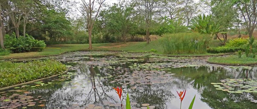 Seminario Emprender en patrimonio cultural: Jardín Botánico de Maracaibo.