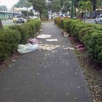 Ladrones del bronce roban busto de bronce del paseo Los Trujillanos. Patrimonio cultural de Barinas en riesgo.