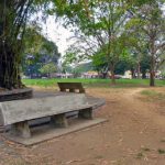 Parque Moromoy de Barinitas. Patrimonio cultural y natural de Venezuela.