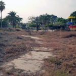 La abandonada plaza Francisco de Miranda, en Barinas. Foto Marinela Araque, marzo 2019