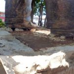 La estatua pedestre de Alberto Arvelo Torrealba en franco peligro. Barinas, estado Barinas. Foto Marinela Araque, abril 2019.