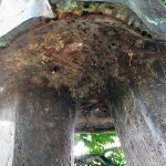 La parte inferior de la estatua de Cristóbal Mendoza sufre una marcada oxidación y corrosión. Mérida, Venezuela. Foto Samuel Hurtado Camargo, marzo 19 de 2019.